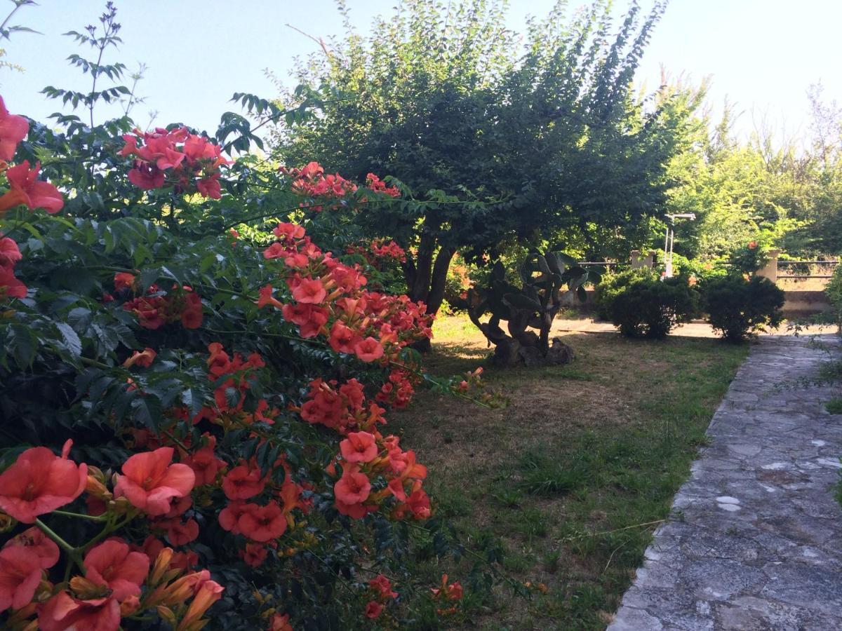 Villa-Toula Roda  Exterior photo